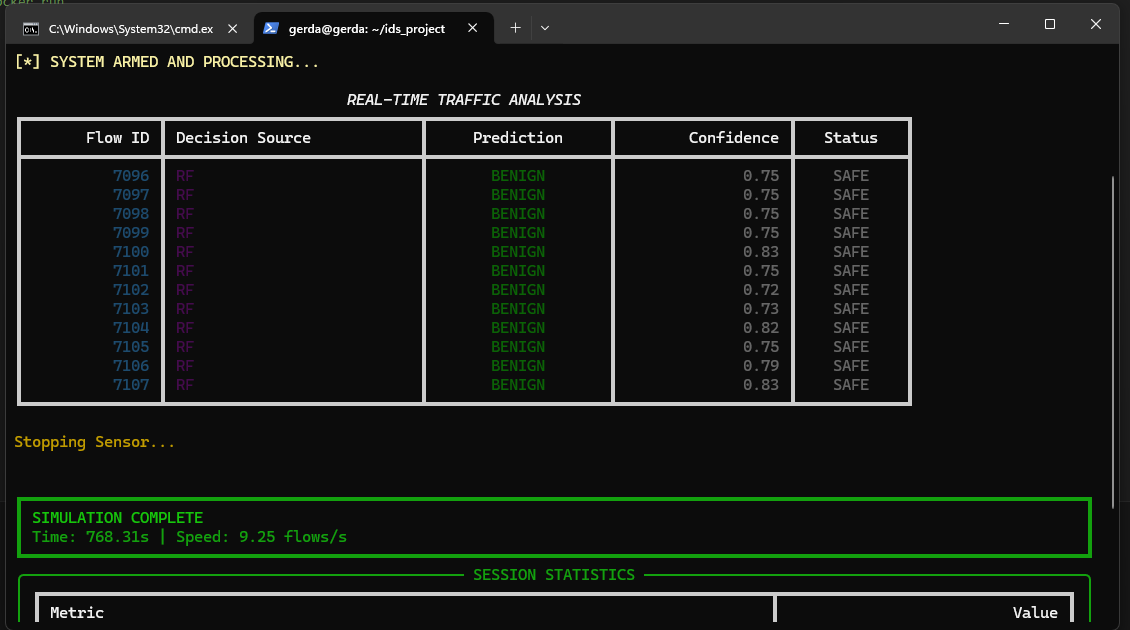 Master's Thesis IDS Project